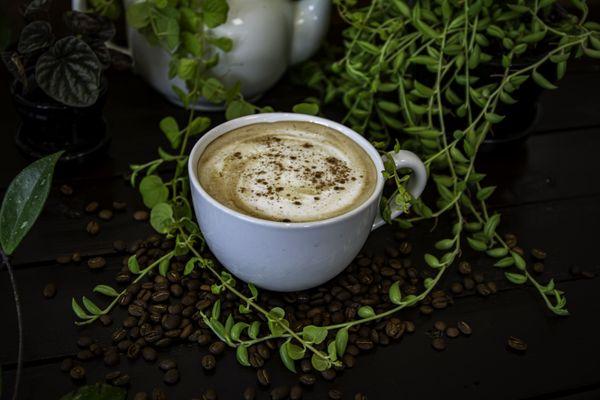 Delicious latte topped with a sprinkle of cinnamon!