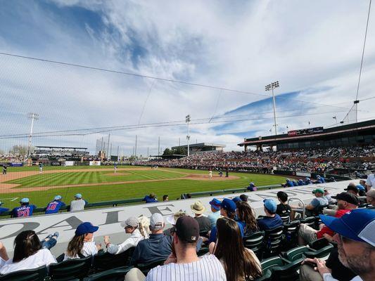 Giants versus cubs