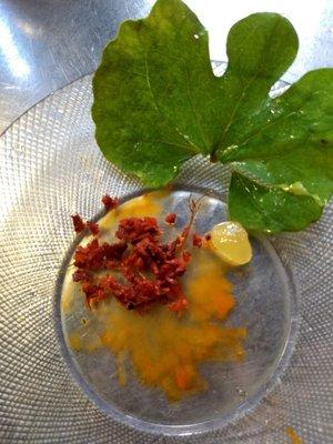 Madison Reed preparing a paste made from fresh chopped bloodroot and organic honey, to apply directly to a shingles lesion.