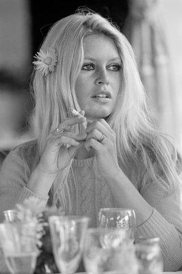 Terry O'Neill, "Brigitte Bardot", photograph.