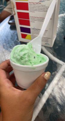 Mint Chocolate Chip Kids Cup