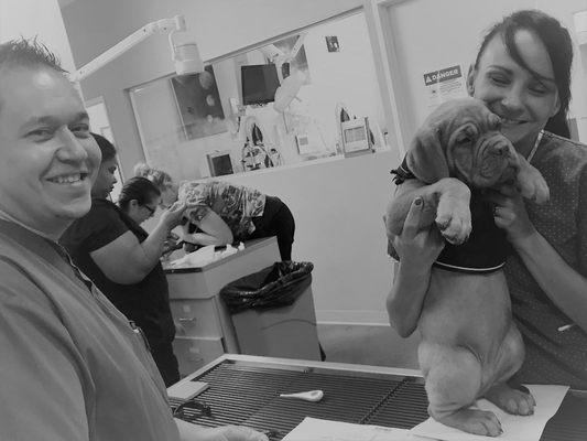 Techs Carlos and Sarah love when puppies come in!