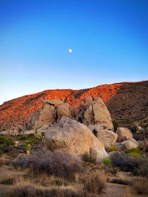 Lovely sunset spot near Ryan Mountain