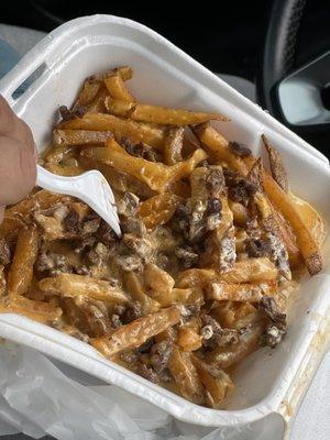 Large carne asada fries