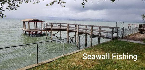 Seawall Fishing