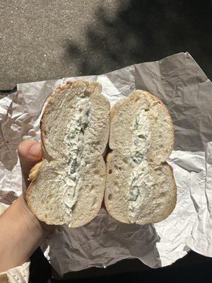 Everything Bagel w/ Scallion Cream Cheese