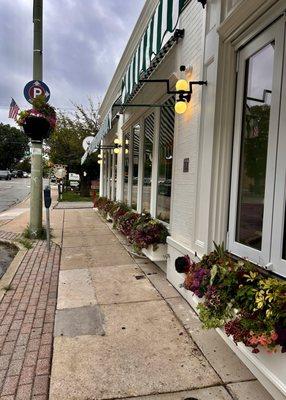 Lovely planter boxes of flowers