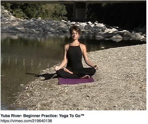 My newly available for download Yoga To Go™ Video Series!  http://consciouslivingyoga.com/videos/