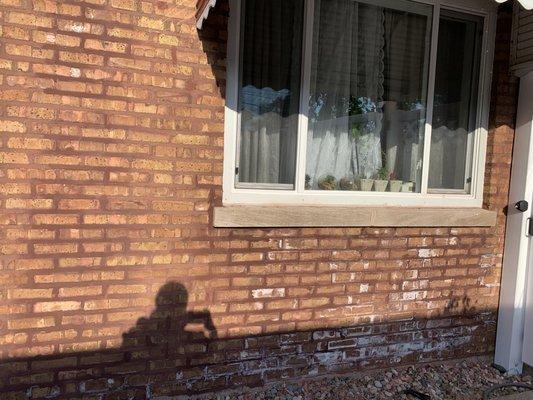 all the water is damaging the brick causing it to turn white, they said they would waterproof it