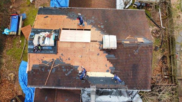 Removal of existing roof / rotted plywood sheathing