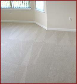 Carpet Cleaning Service