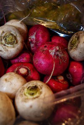 Garcia's Radishes