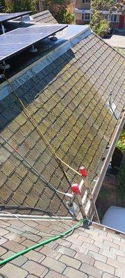 Cleaning roof