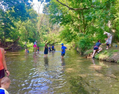 Stroud Preserve -- "Splish Splash" stream exploration