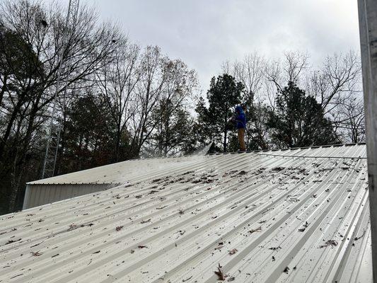 Roof Cleaning