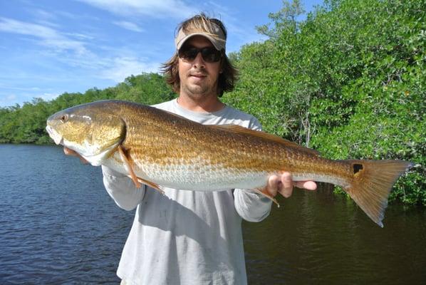 A nice Flamingo Red fish caught  with Miami Inshore Fishing Charters