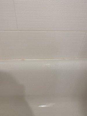 Mold in the tub