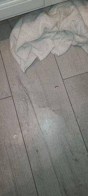 Towels we had to use to clean the leak maintenance never showed up to fix