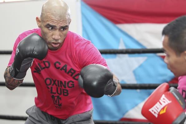 Puerto Rico sensation Miguel Cotto training at Wild Card Boxing Club