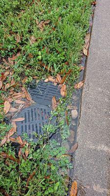 water flows out when it reaches ground-level, pooling at the edge of the curb