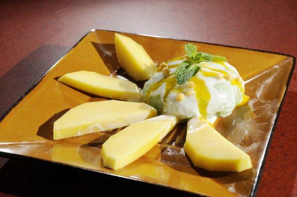 Fresh Mango and sweet sticky rice