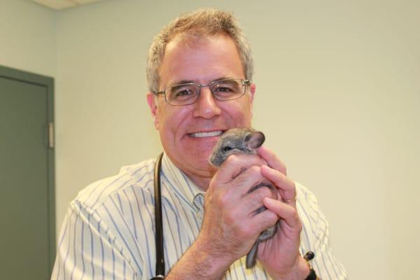 Dr. Dutton and a baby Chinchilla