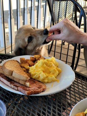 Hershey's scrambled eggs were clearly delicious (he was only given the eggs & plain toast).