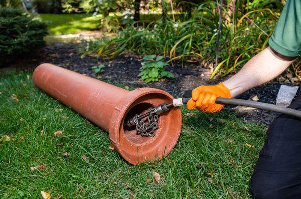 Revolutionary drain cleaning technology to remove tree roots.