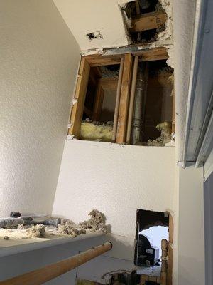 Ceiling water leak and wall removal