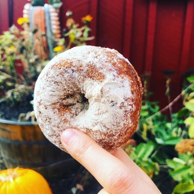 Cider Doughnut, IG: allie_eats_world