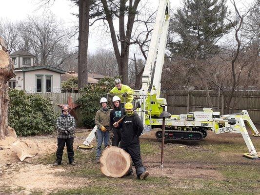 Knoll & Sons Tree Service