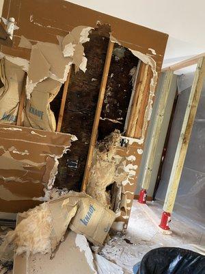 Here is our weight bearing wall that we are told had zero visible support at the foundation in the crawl
 soace.