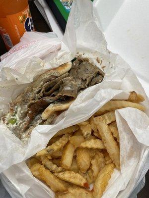 Undercooked gyro and fries horrible taste