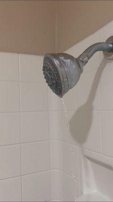 Showerhead not functional in room 228, and none of the appliances functioned, electrical issue