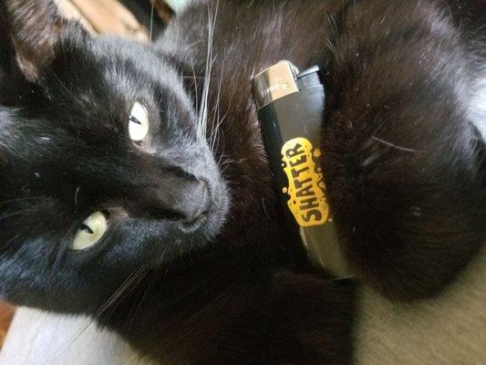 Satisfied customer Ebony-Pawz with her new lighter