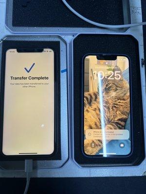 Transfer from old iPhone X to new Mini 13.