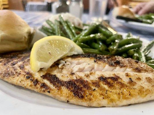 Grilled Redfish