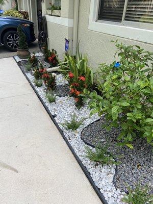 Front of the house. Combined some of my old plants with the new. Love the rock design; white and gray rocks with black mulch in the back.