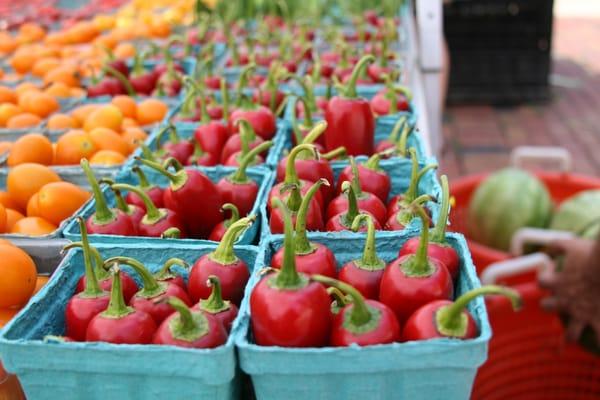 The Farmers Market At Maryland