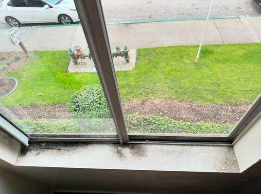 Black mold growing in bedroom window