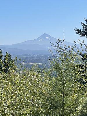 Mt. Hood