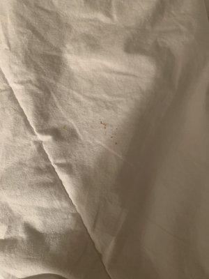 Blood splatter on sheets