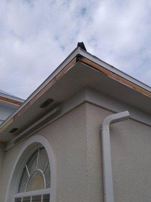 Roofing in Cape Coral, FL