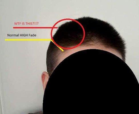 The highest fade you'll ever see.