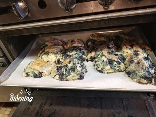 Blueberry breakfast biscuits