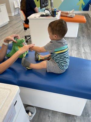 Brushing Dino's teeth, getting my little guy ready for his cleaning.