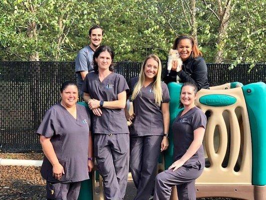 Meet the FAH technician team! Dane, Amber, Pam, Mel, Nicole, and Erin.