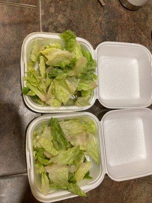 Side salads? Yes this is what Dea's restaurant gave me for my $4 each side salads. Day old (if not older) limp brown iceberg lettuce.