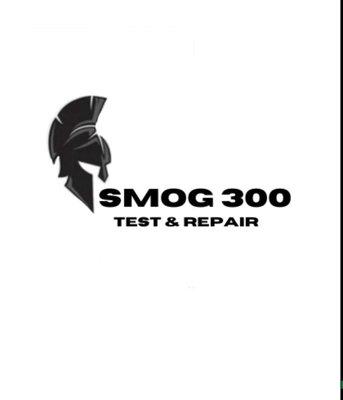 Smog 300