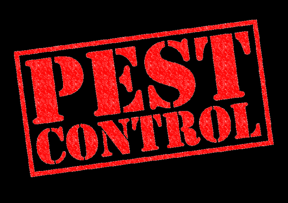 Armstrong Pest Control